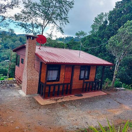 Las Bromelias Lodge Paso Macho Eksteriør bilde