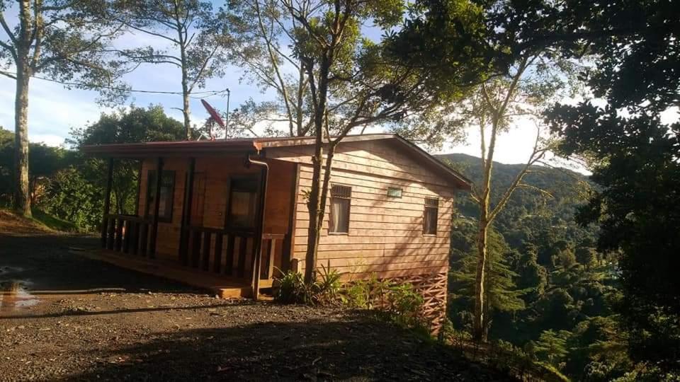 Las Bromelias Lodge Paso Macho Eksteriør bilde
