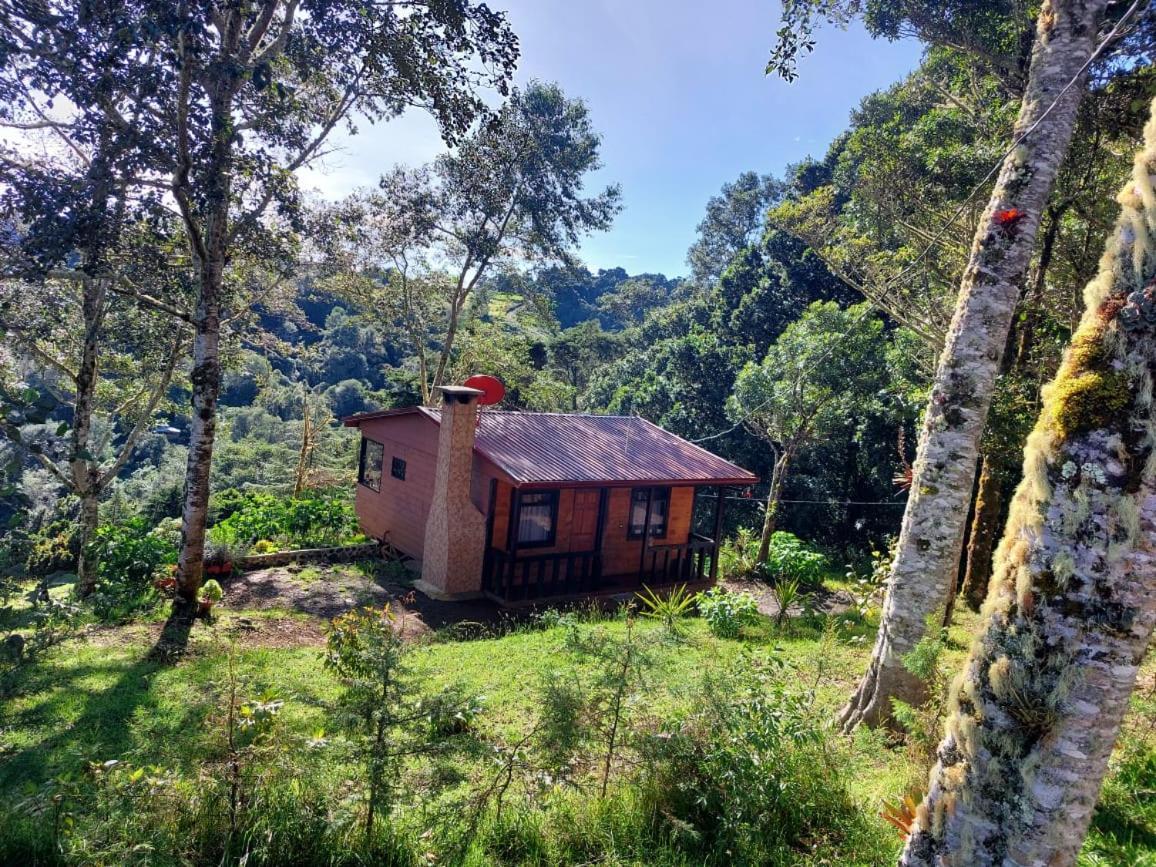 Las Bromelias Lodge Paso Macho Eksteriør bilde