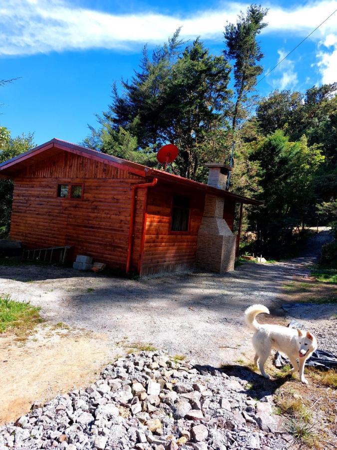 Las Bromelias Lodge Paso Macho Eksteriør bilde